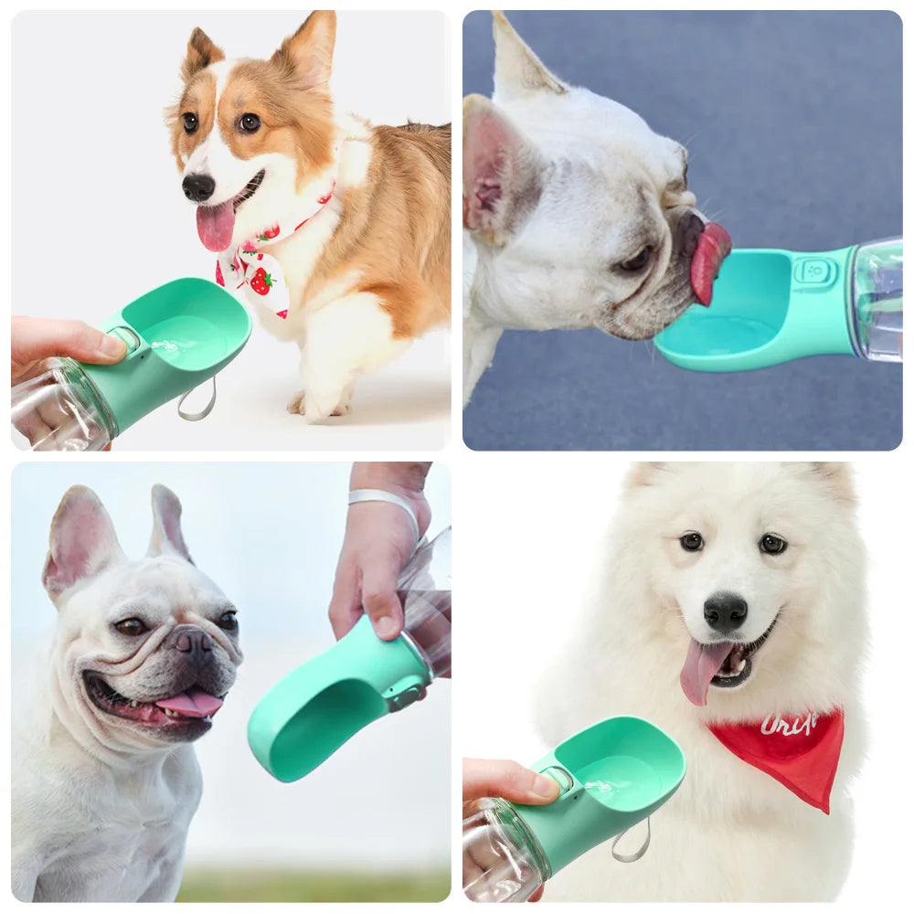 EazyPets Portable Dog Water Bottle – Leakproof & On-the-Go