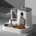 EazyPets 2-in-1 Automatic Pet Feeder With Small Water Fountain